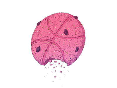 cookie dribbble