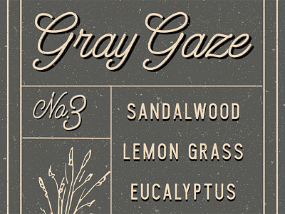 Gray Gaze branding cologne package design packaging perfume typography
