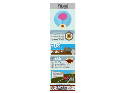 Visual Information - infographic
