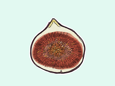 Fig Illustration pt1 art artwork color colorful design digital art digital artwork digital illustration drawing fig fruit fruit illustration fruits graphic design illustration sketch sticker