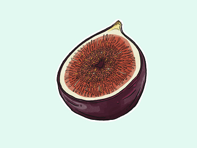 Fig Illustrations pt3