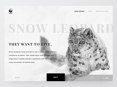 UI | WWF Snow Leopard