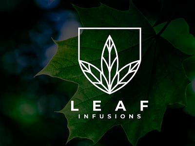 Leaf Modern Minimalist Logo