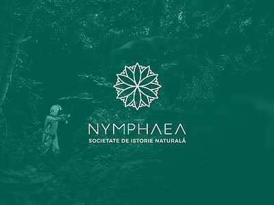 NYMPHAEA