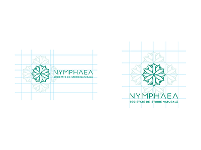 Nymphaea - Proportions