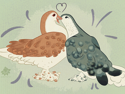 a dove-ly surprise