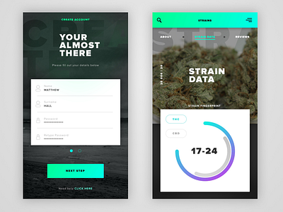 UI kit apps typography ui