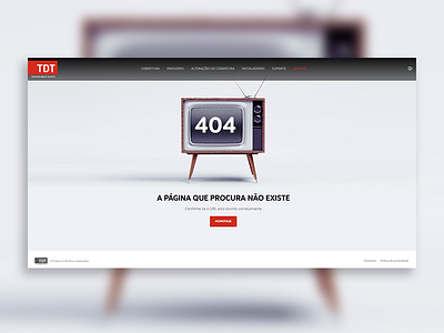 404 Page - TDT