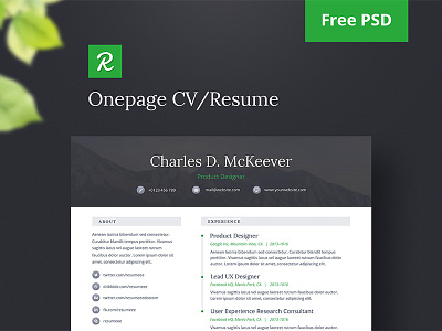 Onepage Free CV/Resume PSD Template cv download free psd resume sample cv sample resume