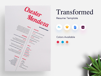Transformed CV/Resume Template cover letter curriculum vitae cv designer resume transformed
