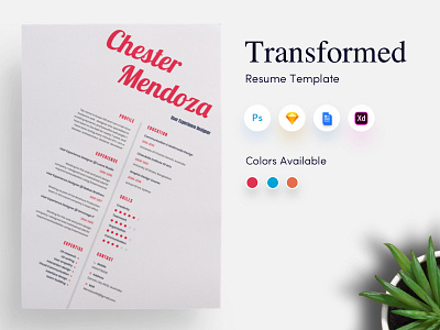 Transformed CV/Resume Template