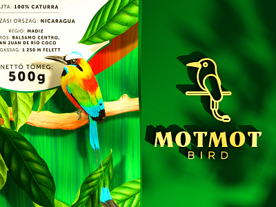 Motmot bird logo 3d 3d art bird branding budapest hungary illustration logo octanerender packagedesign render tropical