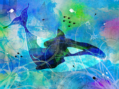 Orca colourful digital fish illustration nature ocean orca