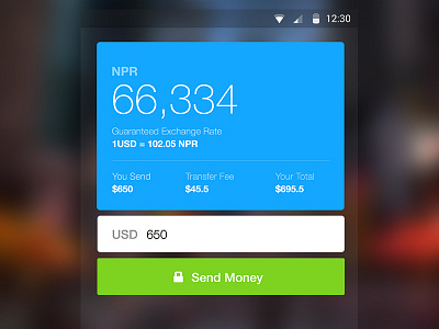 Remittance Application UI sketch ui