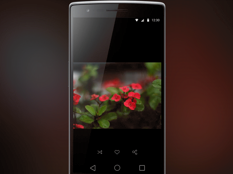 Photo viewer app android application material design photo app photography sketch sketchapp ui