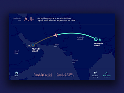 Inflight Flight Tracker