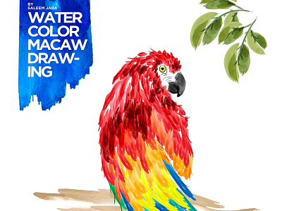 Watercolor Parrot brushes drawing illustration illustrator macaw watercolor