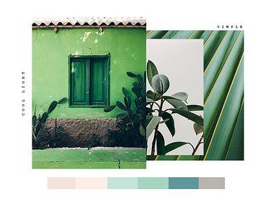 Moodboard for Meerk Resort art design art director brazil design fashion rio de janeiro tropical