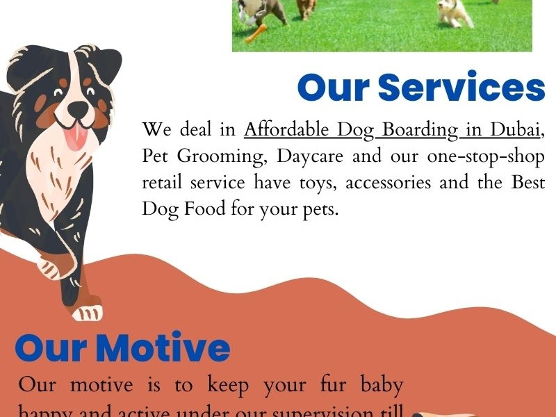 Affordable Dog Boarding in Dubai by Gary Criss on Dribbble