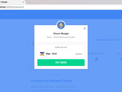 Checkout card on file checkout credit card modal overlay payments popup