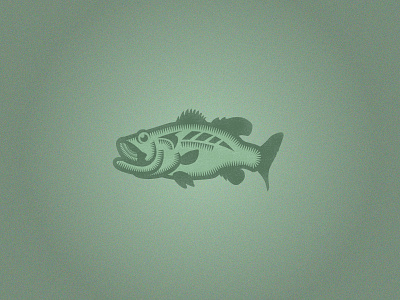 Bass Fish Illustration