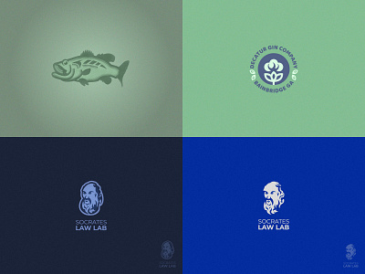 2018 2018 ancient cotton design fish flat graphic greece logo mark philosopher philosophy socrates symbol top4 top4shots vector