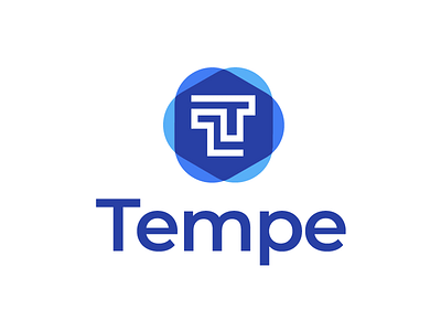 Tempe brand identity company blue colourful ecommerce logo icon minimal letter t