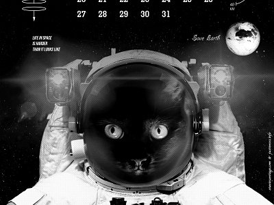 2020 Cats + Dog Space Journey astronaut black cat calendar cat cats dog graphicdesign journey otavio santiago shiba inu space