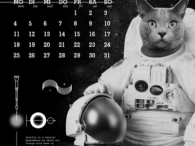 2020 Cats + Dog Space Journey astrounaut calendar cat journey risograph space