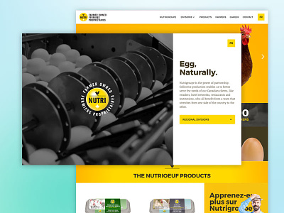 Nutrigroup - Webflow Redesign agency branding dark design eggs webflow yellow