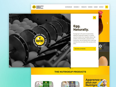 Nutrigroup - Webflow Redesign