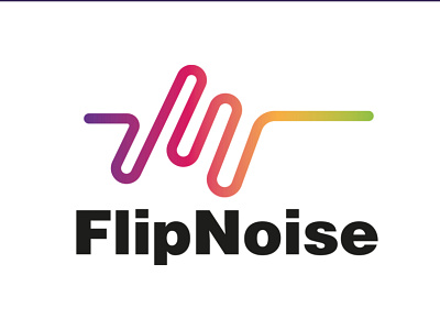 FlipNoise record label project