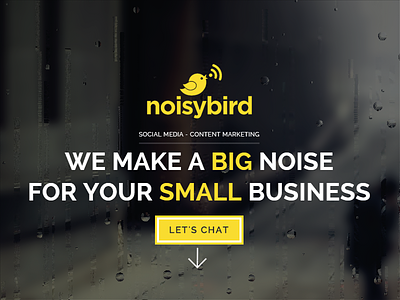 Noisybird Brand - Web Shot brand noisybird social