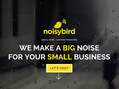 Noisybird Brand - Web Shot