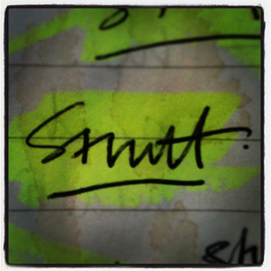 Strutt - Clothing label concept