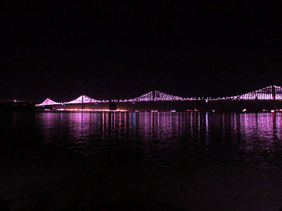 Purple Parallel Bridge Night Lighting.