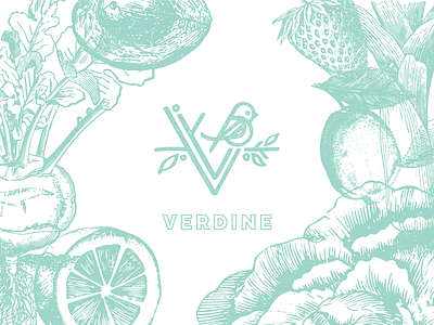 Verdine - Brand Identity brand branding logo restaurant vegan vegetables
