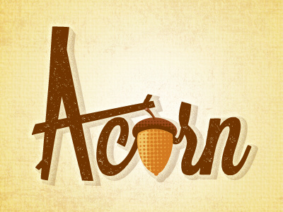 Acorn Type Illustration acorn illustration texture typography
