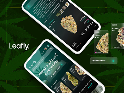 Leafly on Dark application cannabis dark theme leafly redesign ui weed