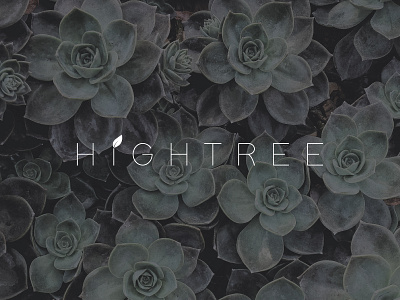 HighTree - Logo 2