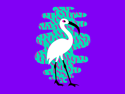 Birds of Summer - Ibis bahamas bird ibis illustration summer vector