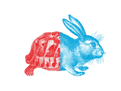 Creative strategy bunny cold fast illustration rabbit slow tortise warm