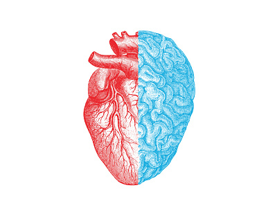 Hearts + Minds brain business cold creative graphic design heart hot idea illustration strategy