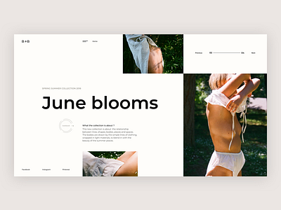 Bees + Bones | Home page brand grid home minimalism ui ux web design