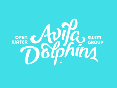 Avila Dolphins lettering brush pen dolphin lettering logo swim