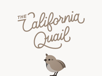 California Quail california chick lettering quail vector