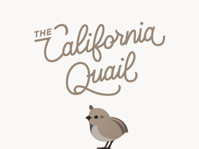 California Quail