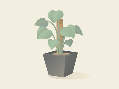 Philodendron illustration indoor plant