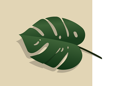 Split Leaf leaf philodendron plant vector