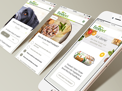 Freshpet Recipe Selector design digital interface mobile responsive sketch ui ui design ux web web design